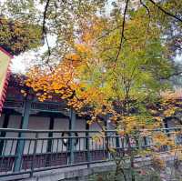秋日的香山：风景如画，红叶如诗