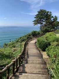 A Luxurious Weekend Getaway at Parnas Hotel Jeju 
