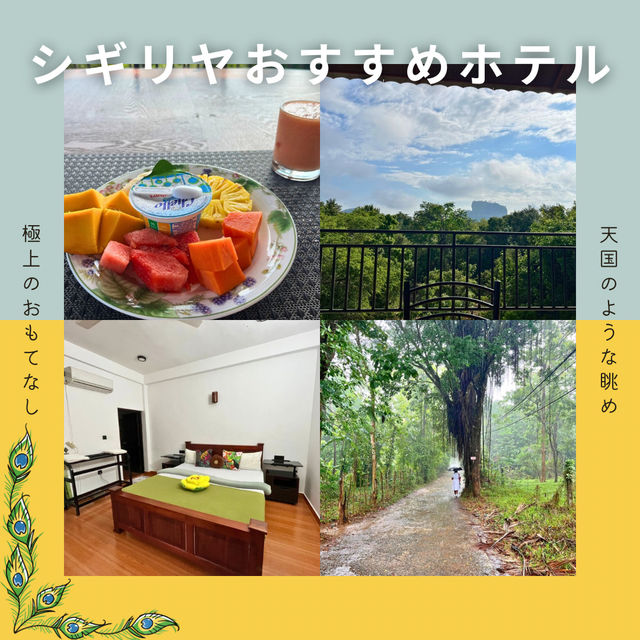 【スリランカ女一人旅】世界一のコスパ！シギリヤの超おすすめ宿石見荘とは！？