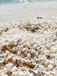夢幻般的貝殼海灘 Shell Beach ⋯西澳洲必去景點 ☀️