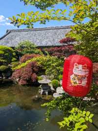 奈良🦌橿原　おふさ観音　提灯まつり🏮