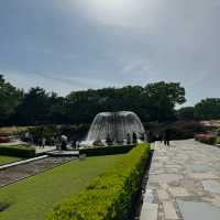 都内とは思えないほど美しい自然に出会える大きな公園、昭和記念公園😍❤️