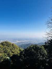 季節最高のタイ北部“チェンマイ”へ行こう‼︎