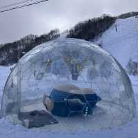 鹿島槍滑雪場的寶可夢主題樂園
