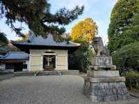 Oyama Ryokuchi Park大山緑地 ไหว้ศาลเจ้าขอพร