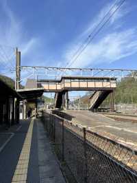 【長野】レトロな駅舎🚉沿線に梅が咲き誇る駅