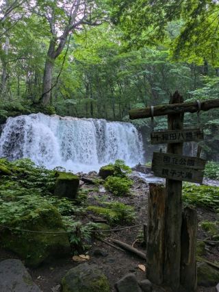Oirase Gorge in Aomori Prefecture - A Natural Power Spot