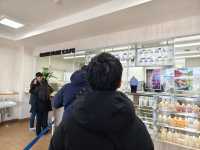 河口湖賞花好地方