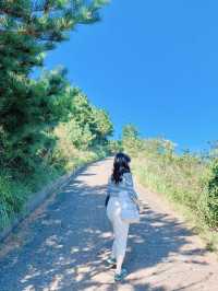 즐거운 제주도 오름 오르기🇰🇷