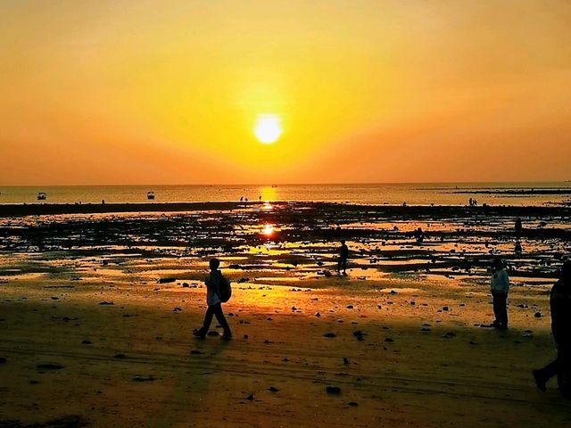放坡村浪漫趕海