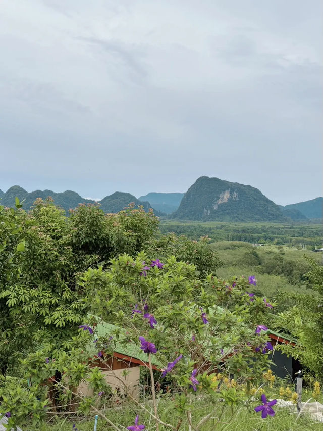 ”ภูรุ่งแจ้ง“ทะเลหมอกภาคใต้ สวยๆ โรแมนติกสุดๆ