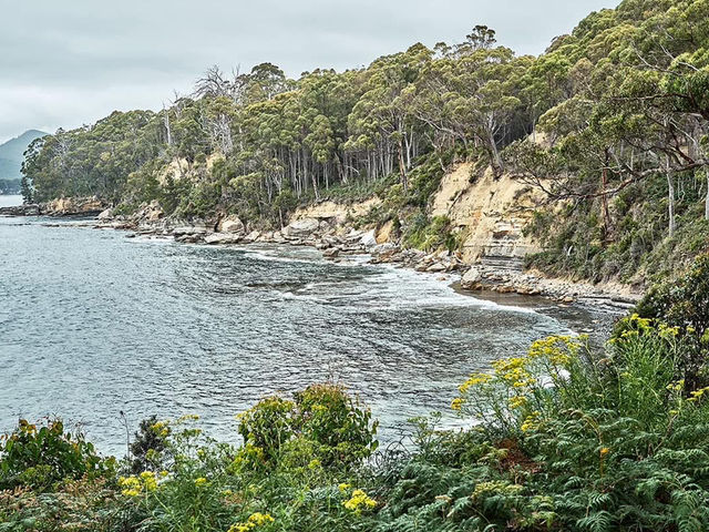 Bruny Island