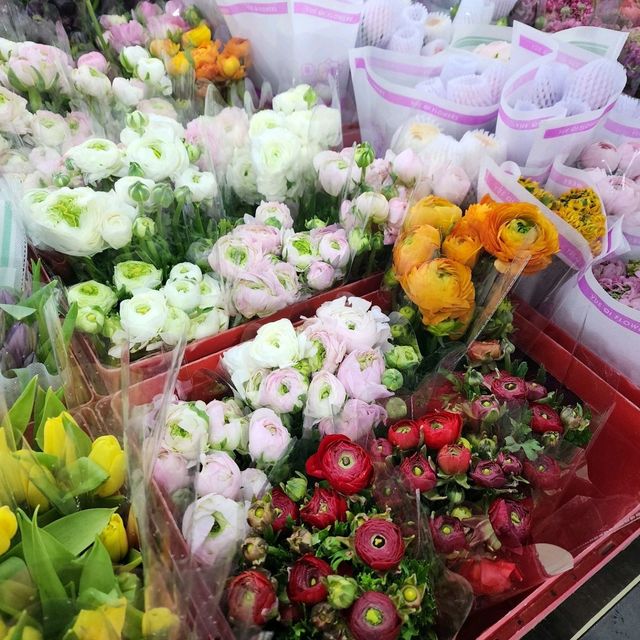 ปากคลองตลาด: ดอกไม้บานกลางกรุง 