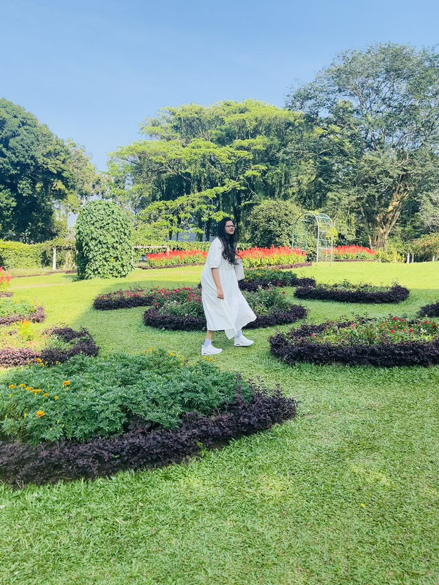 Royal botanical garden, Sri Lanka