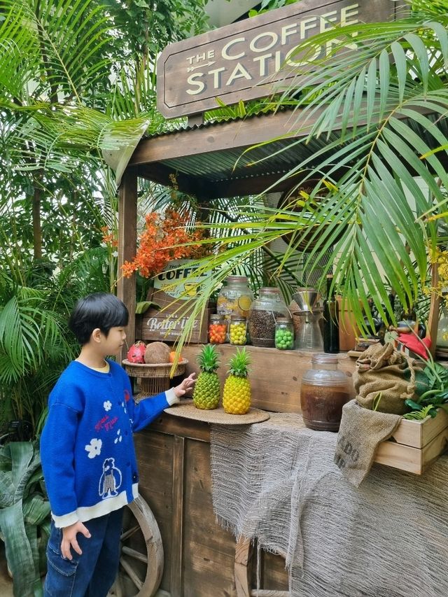 한겨울에도 따뜻한 힐링! 🌿☀️ 