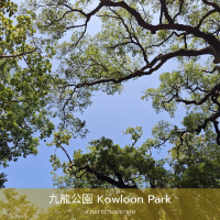 Kowloon Park สวนสาธารณะที่มากกว่าสวนสาธารณะ