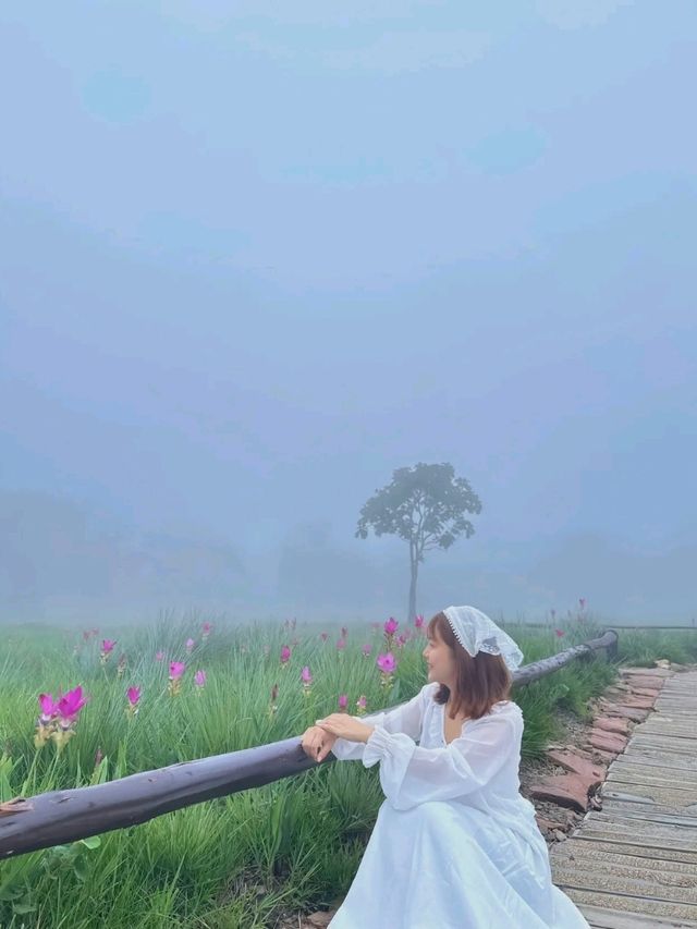 ฮีลใจในสายหมอก 