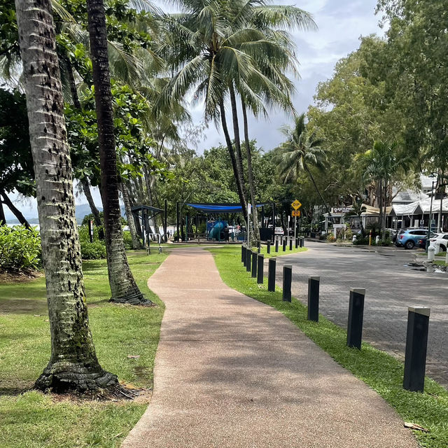 【オーストラリア】静かな楽園！癒しのビーチリゾート・パームコーブ 🏝️🌿