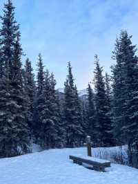 Into the Wild – My Winter Adventure in Denali National Park, Alaska