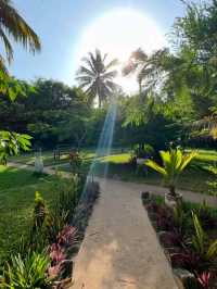 🌴 Awesome Stay in Zanzibar – A Tropical Paradise! 🏝️✨
