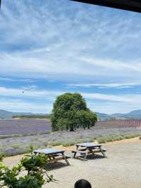 How to spend 3 days in Launceston