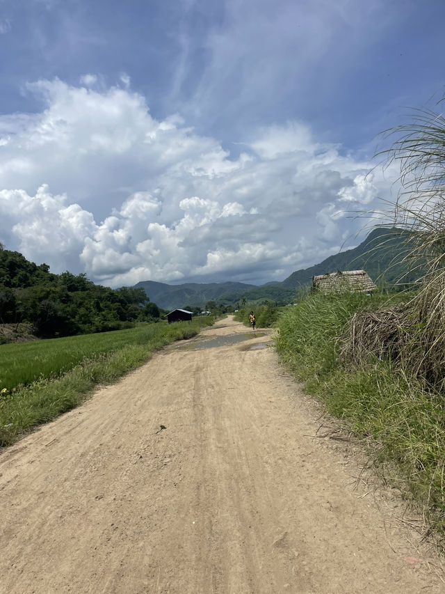 Driving Through Reo’s Countryside: A Glimpse into Rural Life 🌾🚜 