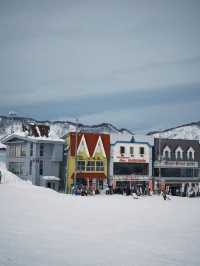 日本湯澤｜新手滑雪推薦石打丸山滑雪場