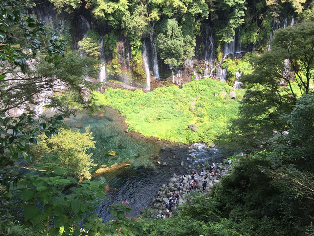 【静岡・富士宮】白糸の滝🗻