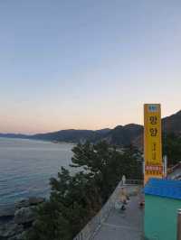 동해안 최고의 오션뷰 휴게소! 🌊 망양휴게소