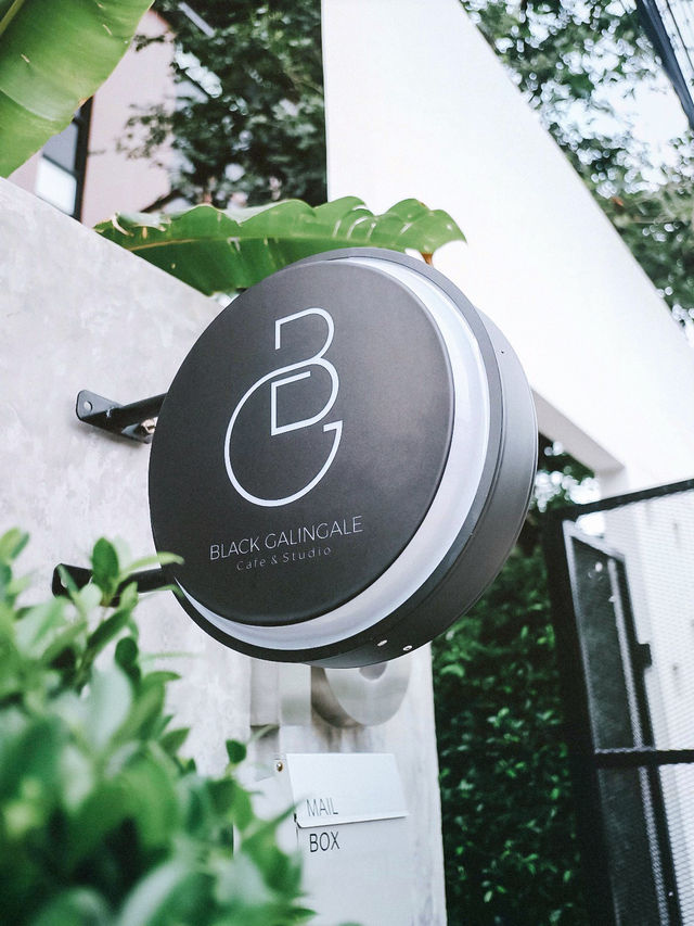 Black Galingale Cafe & Studio