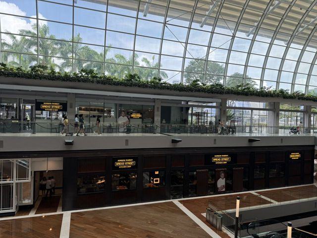 THE SHOPPES AT MARINA BAY SANDS