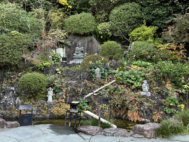 「花の寺」感受四季變遷的鎌倉長谷寺 #東京近郊