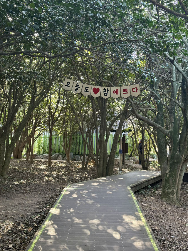 겨울 여수 여행지 오동도 🌺
