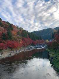 愛知の人気紅葉スポット