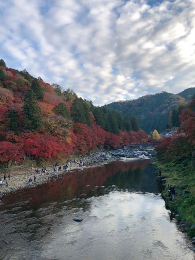 愛知の人気紅葉スポット