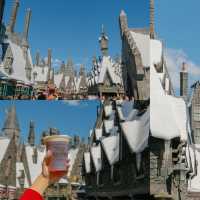 UNIVERSAL STUDIO BEIJING 🎡🎢