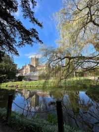 The Bishop's Palace & Gardens