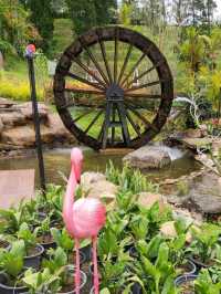 Picturesque Flower Garden