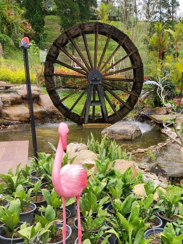 Picturesque Flower Garden