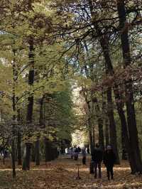 🍂 **【聖彼得堡葉卡捷琳娜宮：秋日金黃的宮廷詩篇】** 🏰  