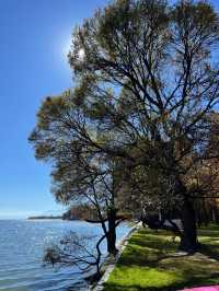 冬日里的大理海舌公園，簡直是人生理想般的美好 ❤️