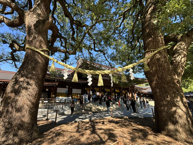 見係你哋，我先分享的東京一日行程！