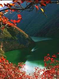 Yangtze River 
