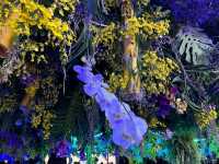 台南後壁-亞太蘭花會議暨台灣國際蘭展 Orchid Show 