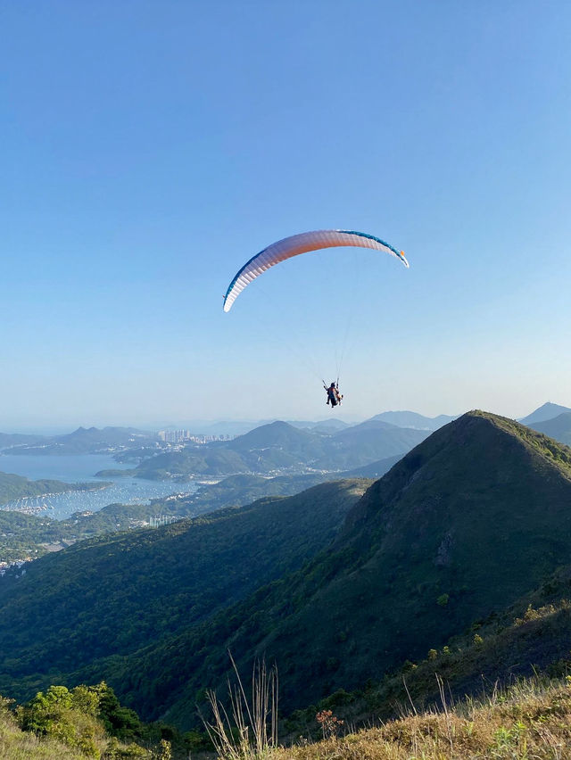 彎曲山⛰️，一覽西貢全景的麥理浩徑四段路線