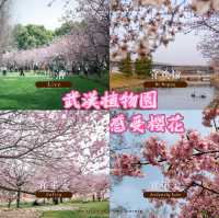 武漢植物園🥳粉紅盛宴 🌸