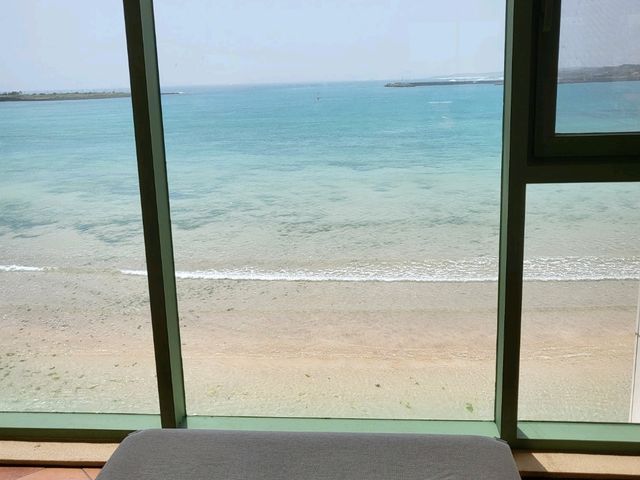 제주 동쪽 최대규모 카페