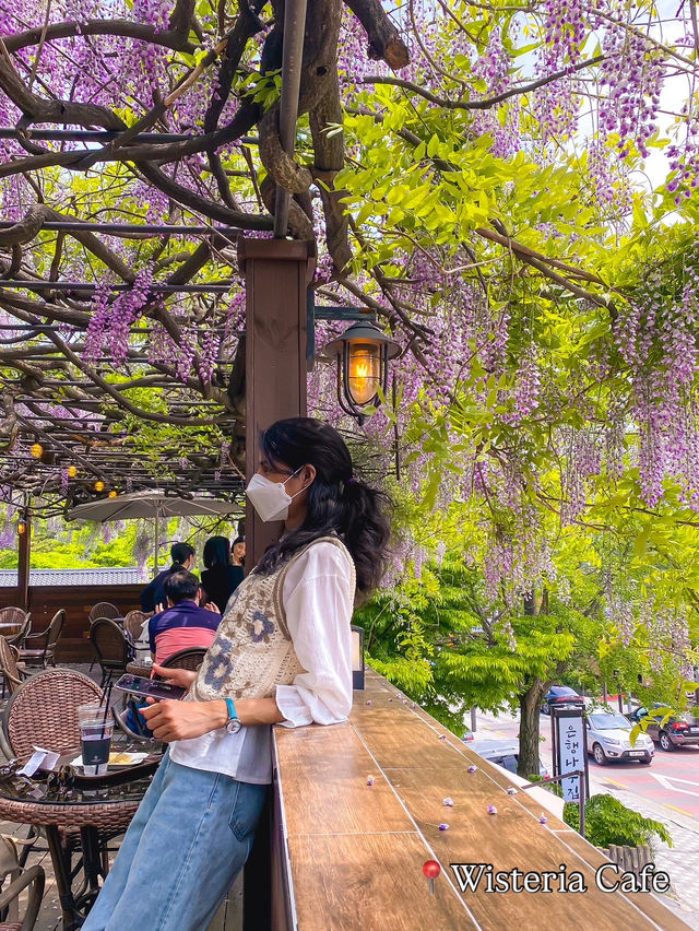 Best Spring Cafés in Seoul🌸 ☕️
