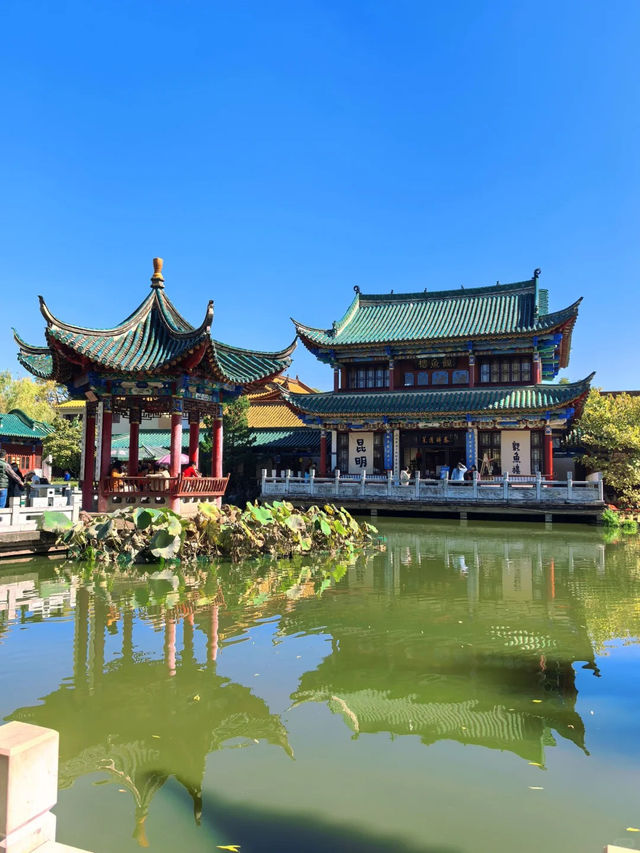 昆明·翠湖公園｜城市中的一片靜謐綠洲