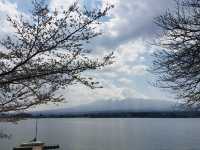 ภูเขาไฟฟูจิ & ทะเลสาบคาวากูชิโกะ ดีย์ต่อใจ